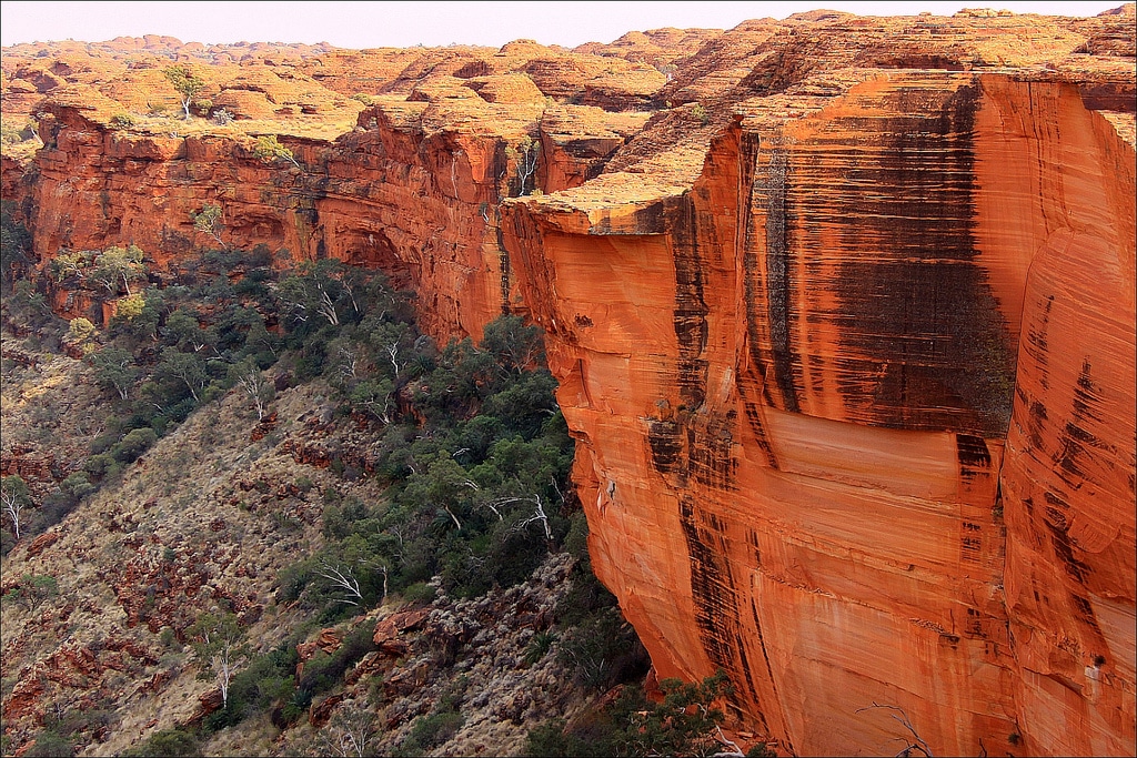 Kings Canyon, by loop_oh. Used under a Creative Commons license