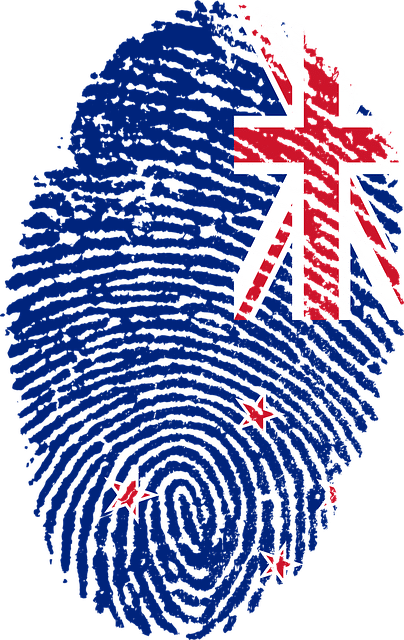Subclass 189 visa